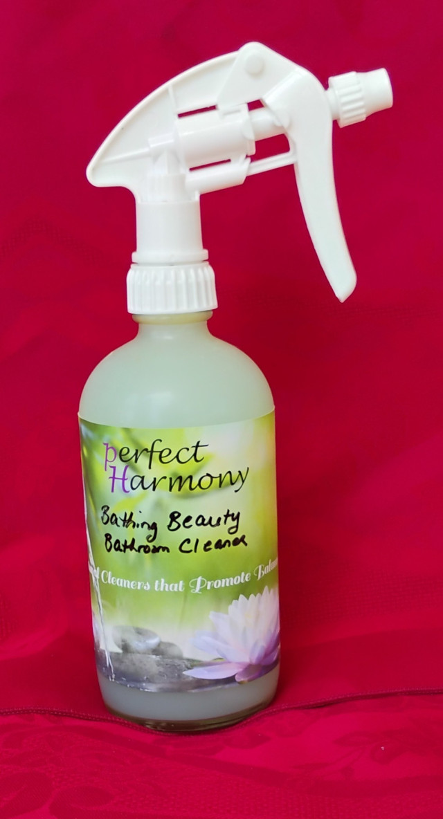 spray bottle cleaning glass windows